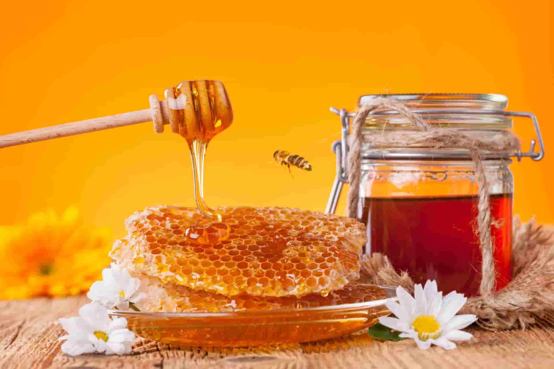 تصویر 2 از خرید عسل کوهی + فروش صادراتی